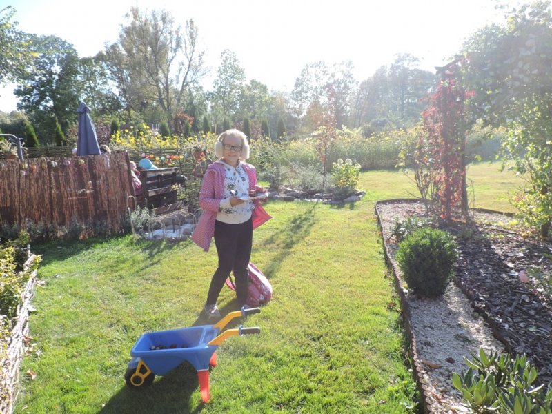 Święto pieczonego ziemniaka 2016